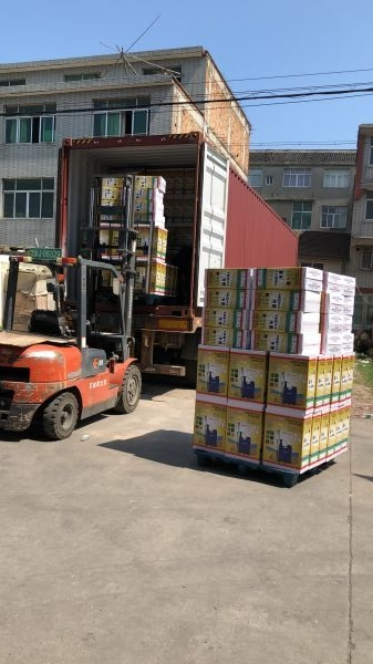 50L Tank Trolly Power Sprayer for Agricultural Pest Control Garden Portable Pesticide High Pressure Irrigation Weed