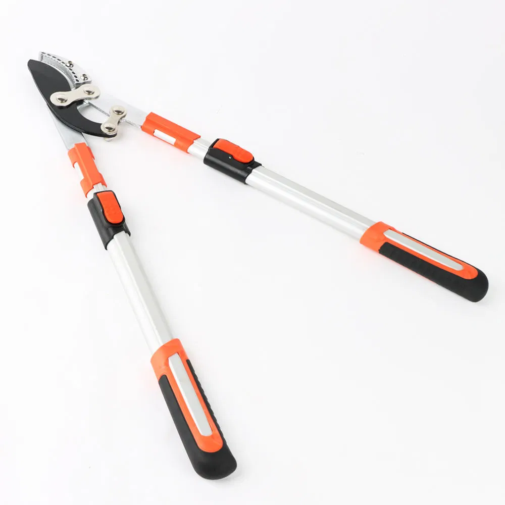 Garden Tool Long Handle Pruning Shear Pruner P4 Horticultural Pruning Horticultural Pruning Agricultural Hand Tool