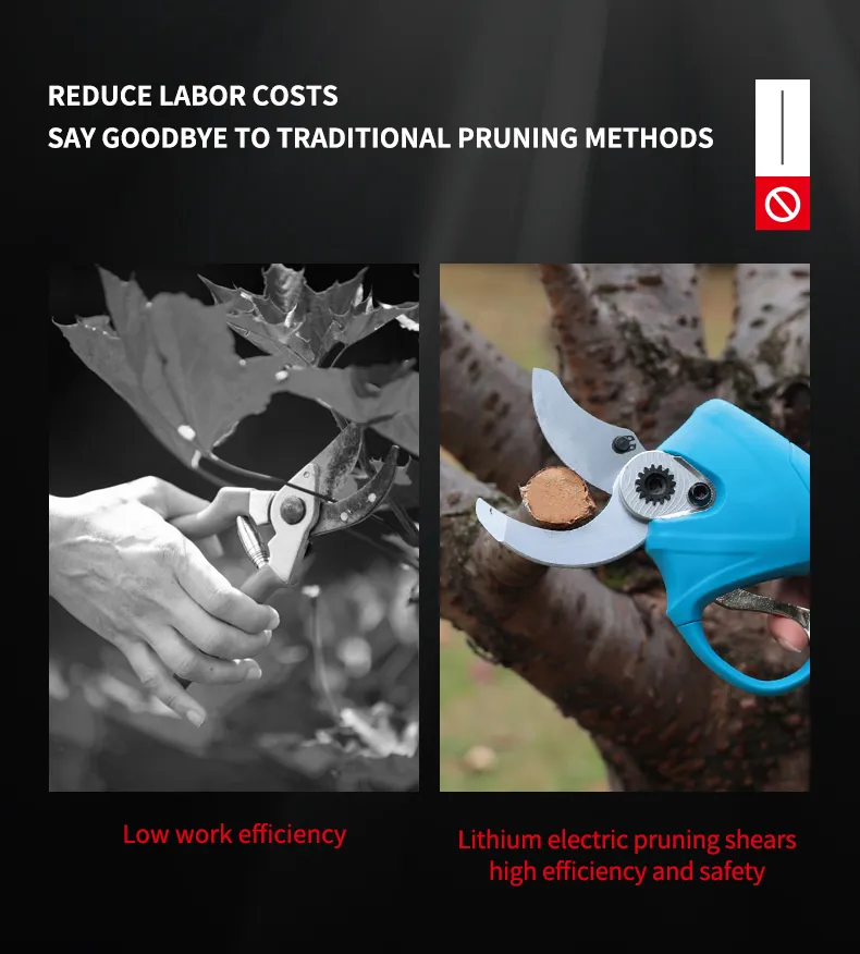 Pruning Shears Display 4