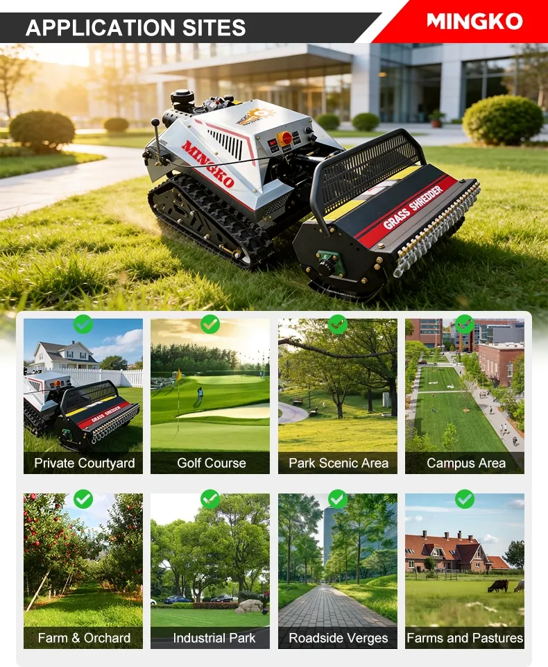 Remote Control Mower 11