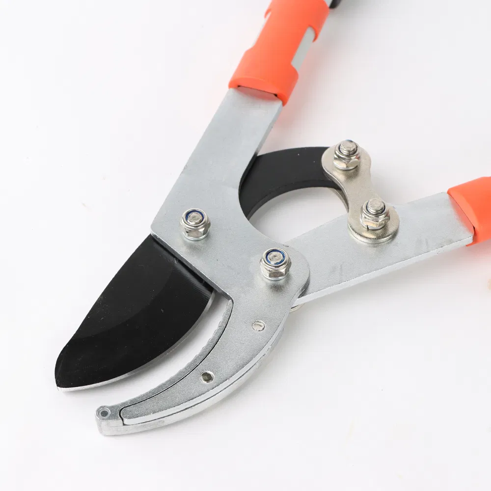 Garden Tool Long Handle Pruning Shear Pruner P4 Horticultural Pruning Horticultural Pruning Agricultural Hand Tool