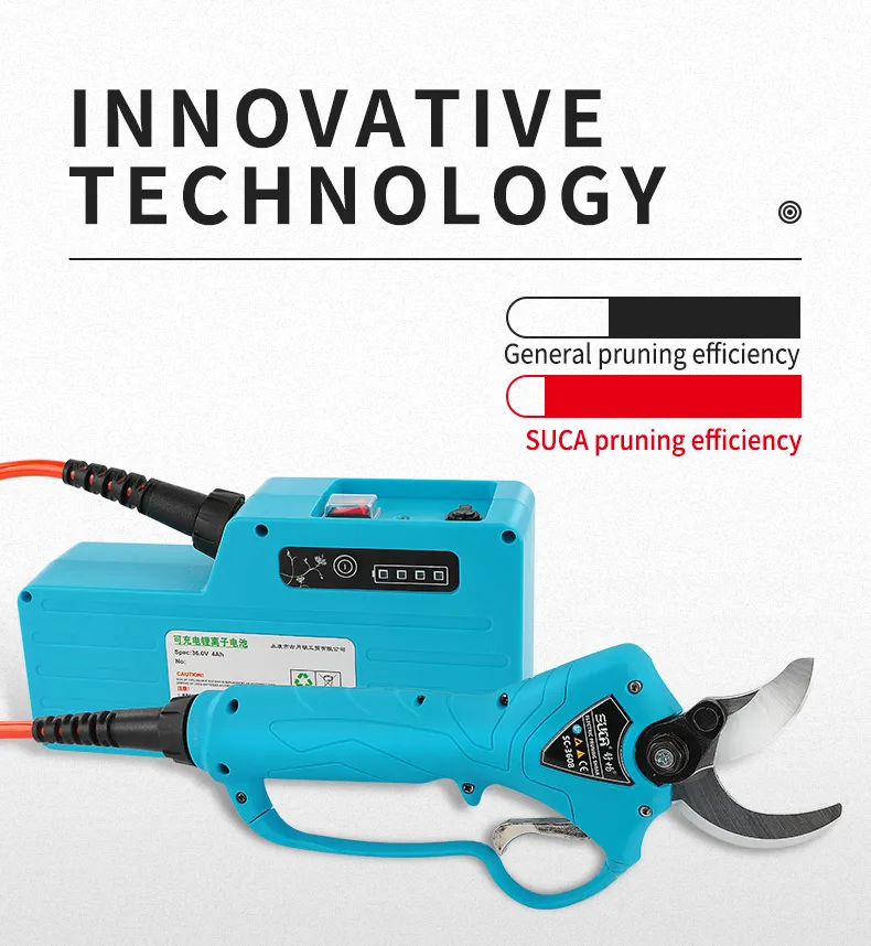 Pruning Shears Display 5