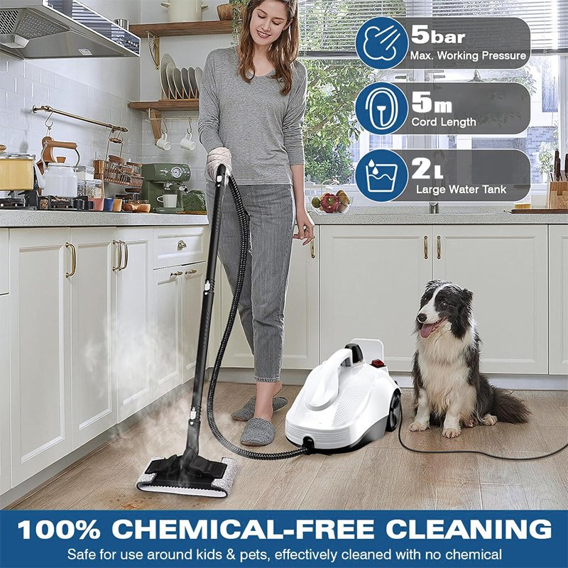 High Temperature Steam Cleaner Portable Electric Steam for Carpet Floor Kitchen and Car High Pressure Powerful Steam Cleaning