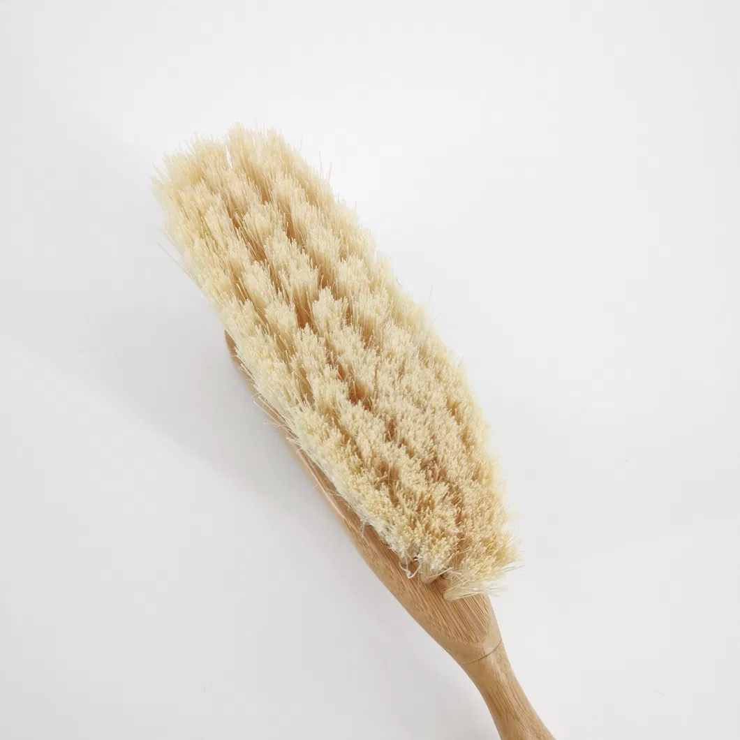 Cleaning Brush Detail 1