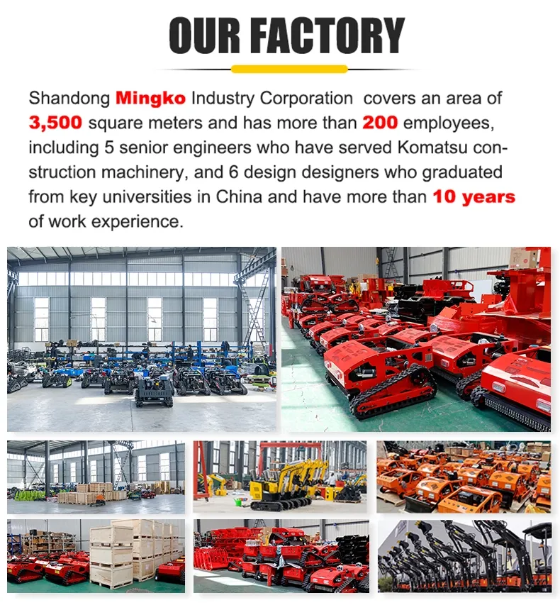 Remote Control Mower 13