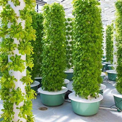 Automatic Watering Hydroponic Tower Growing 60 Holes Vertical Garden Equipment