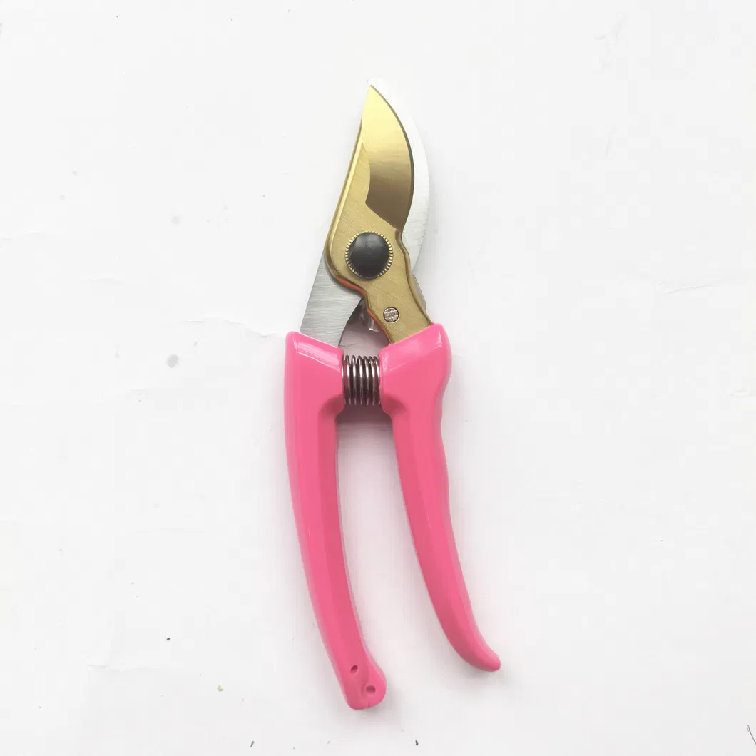Professional Garden Hand Pruning Shear 1