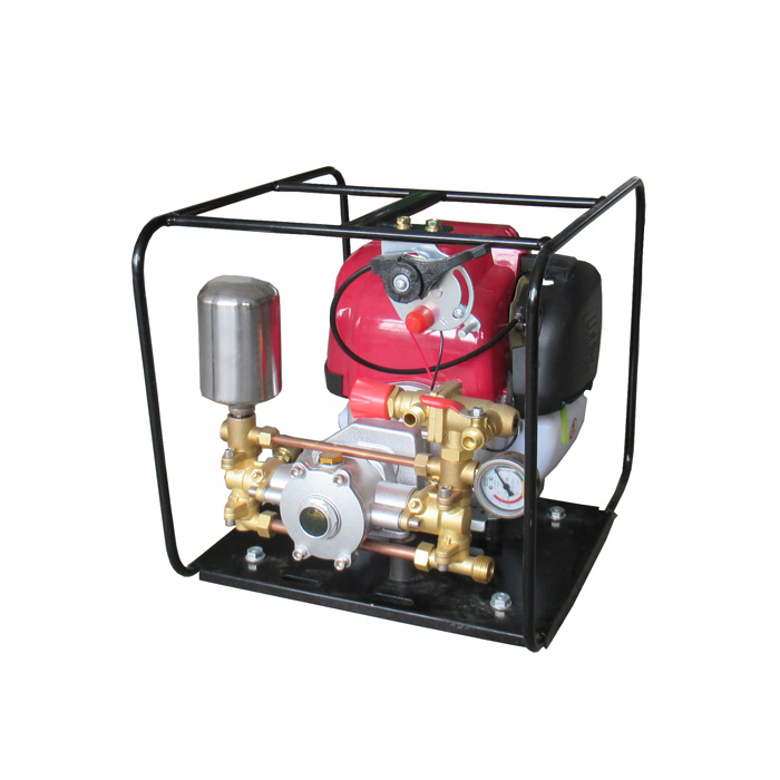 Portable Gasoline Gx35 Engine Garden Power Sprayer for Agriculture Spray Machine