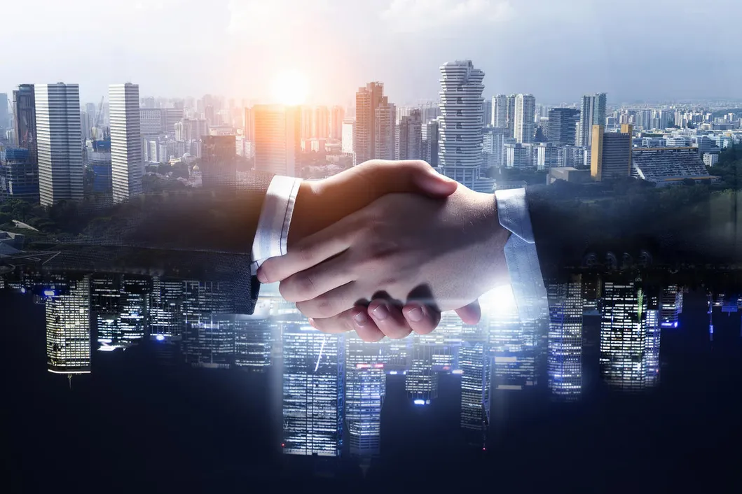 Professional Knife Collection