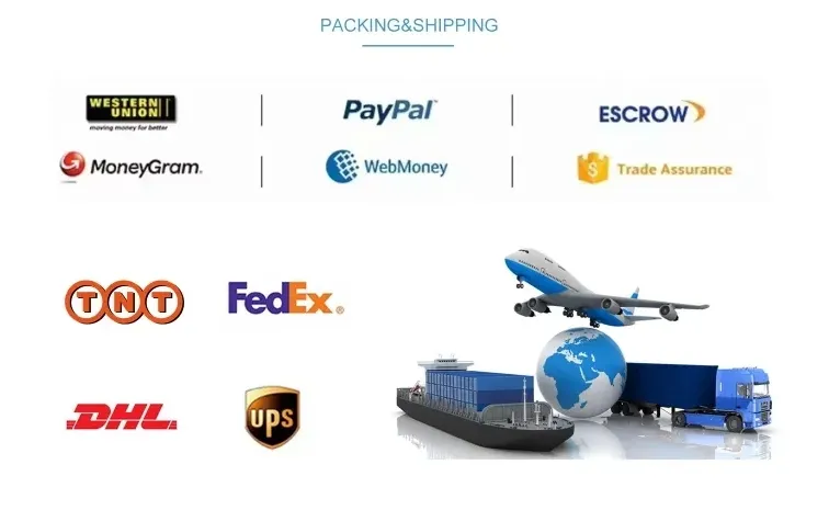 Patent Certificate 4