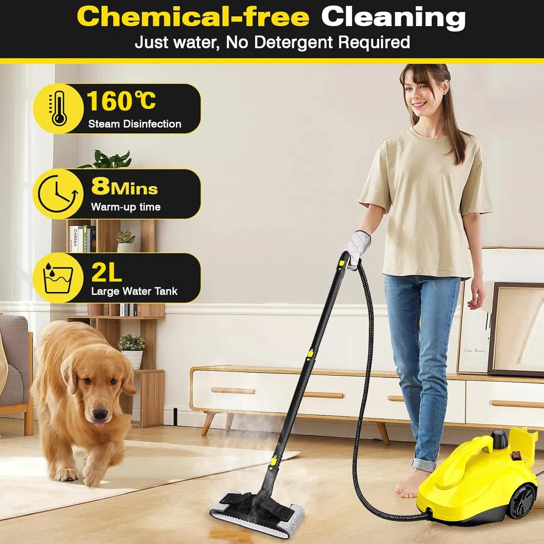 High Temperature Cleaning