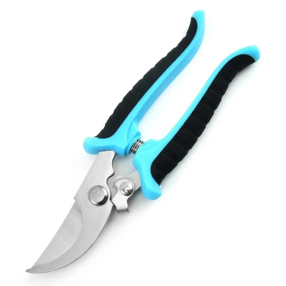 Garden Shears Detail 2