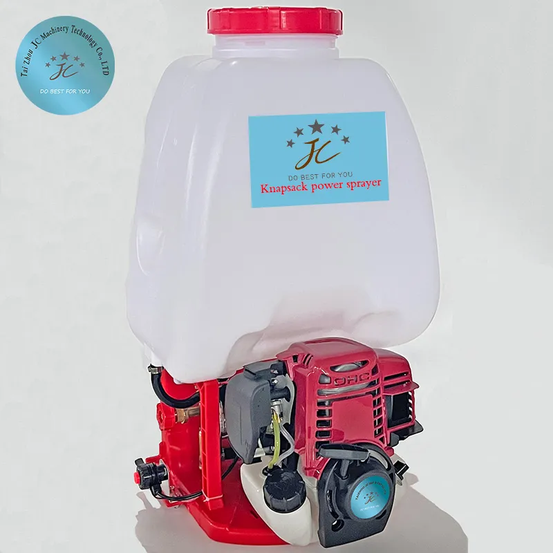 Gasoline Engine Detail