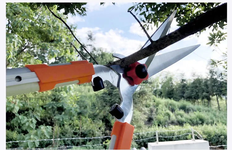 Garden Pruning Tool 1