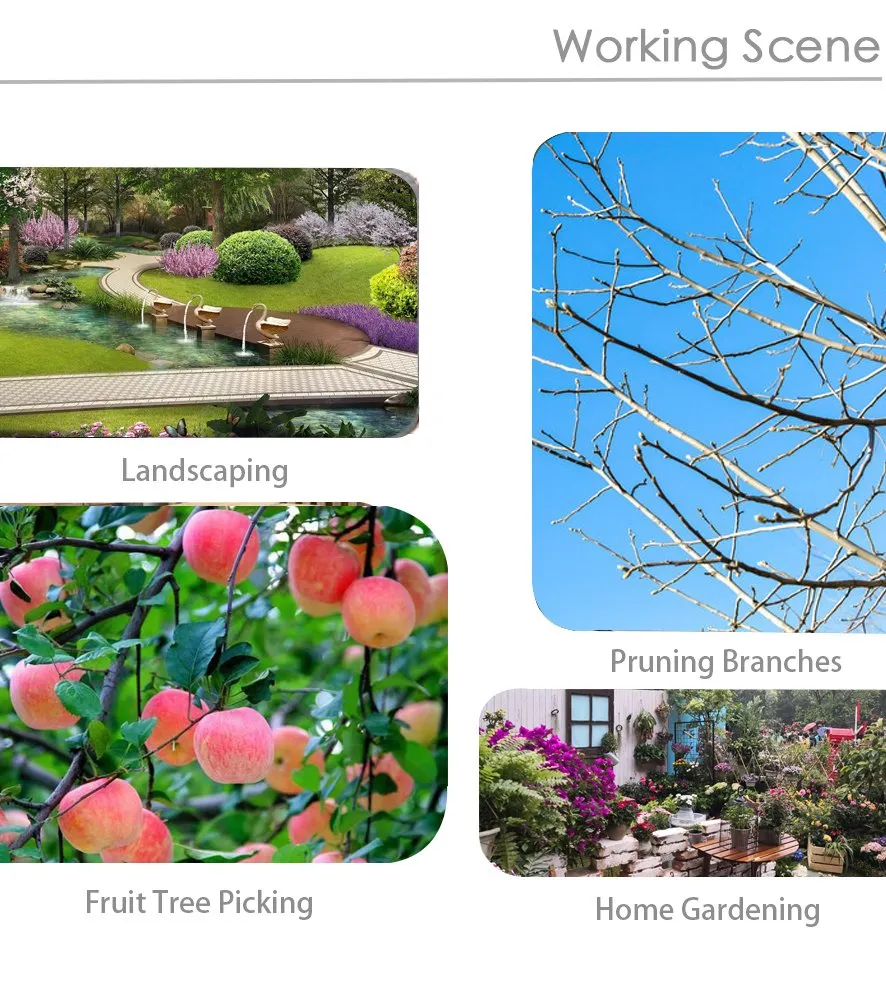 Electric Pruning Shear Display 2