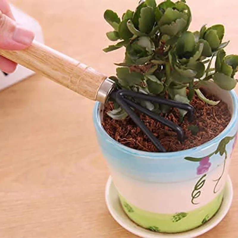 Pruning Hand Equipment