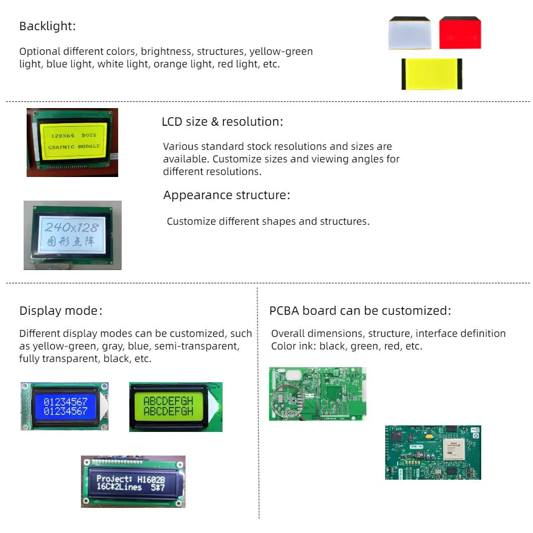 Customizable Options 2