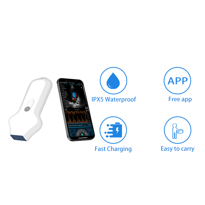 Lightweight C10UC Wireless Animal Ultrasound Probe with Long - Lasting Battery for Extended Field Use