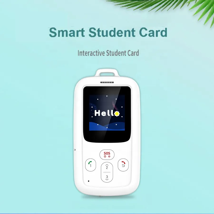 GPS Tracker Display 1