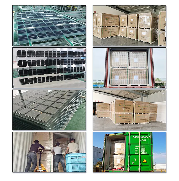 Professional Packaging