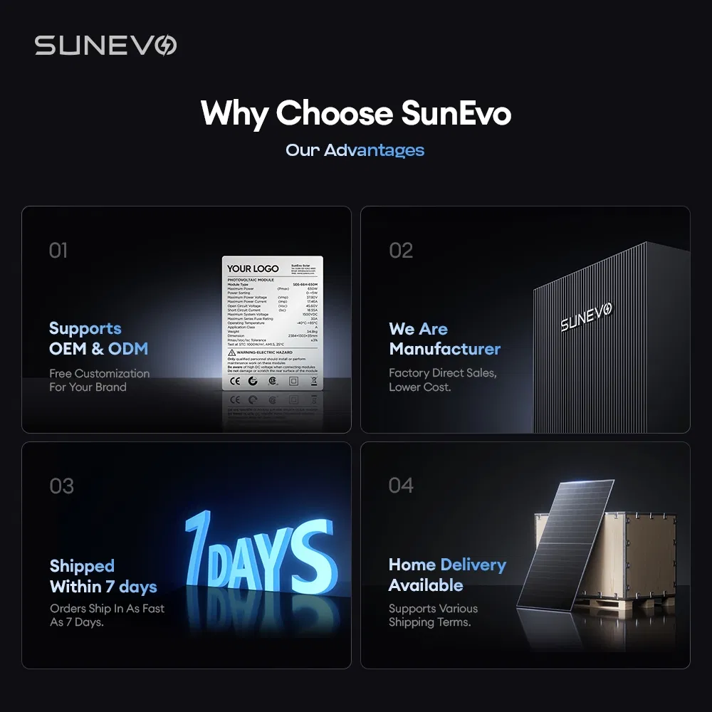 Sunevo Hjt Bifacial Solar Panels 700W 720W 730W 740W 750W N Type Solar Power Panel 30 Years Warranty