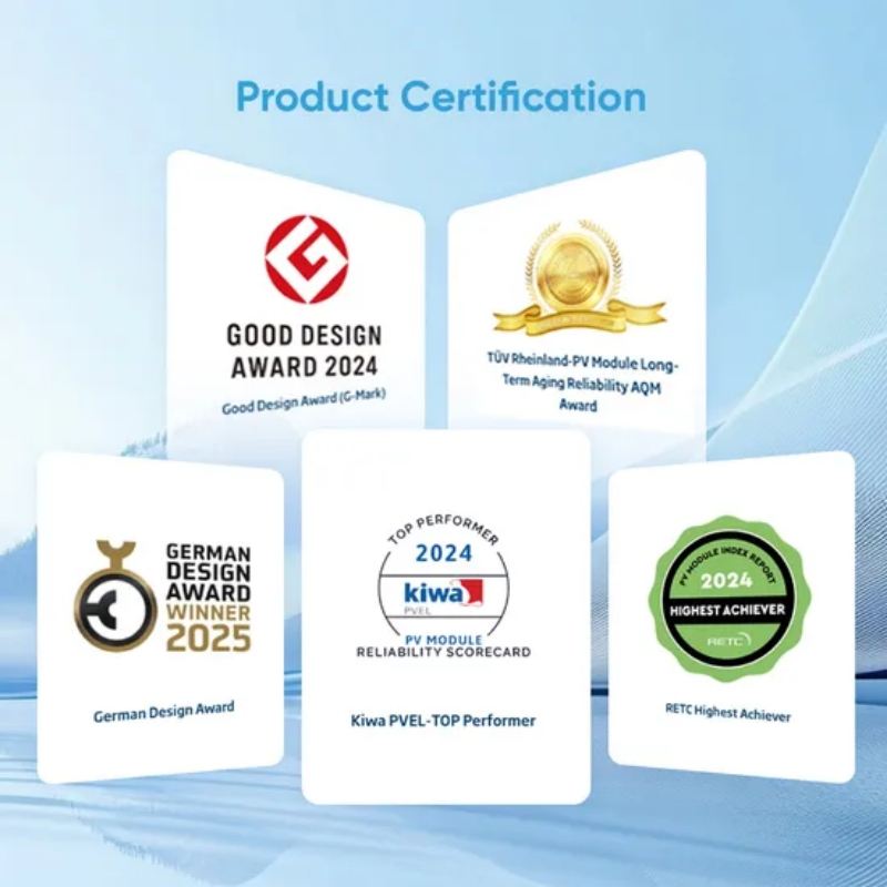 High-Efficiency Trina Solar Panel with Topcon Technology and Double-Glass Bifacial Design for Maximum Energy Yield