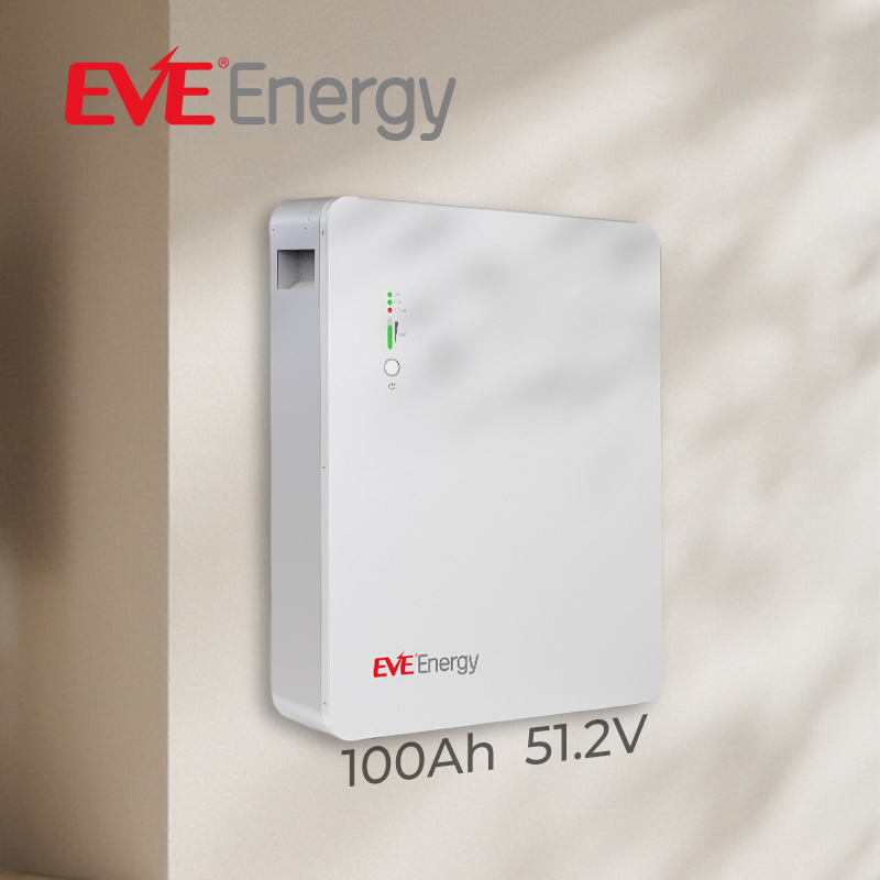 Eve 5kw 51.2V 100ah Home Energy Storage System Solar Power System off Grid Wall Mounted Battery Pack
