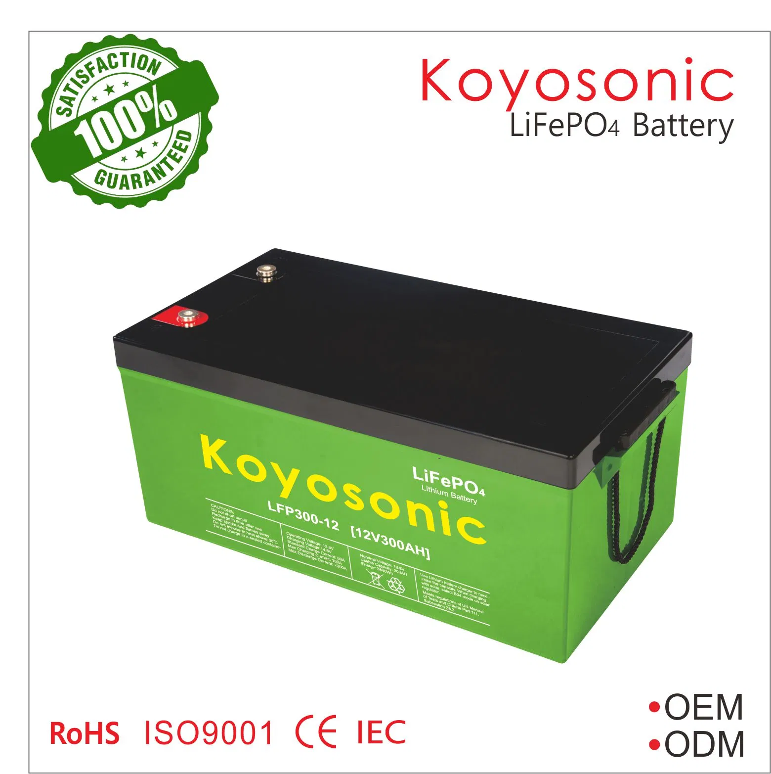 24V/25.6V 120ah 200ah Deep Cycle LiFePO4 Lithium Battery with BMS for Solar Energy Storage
