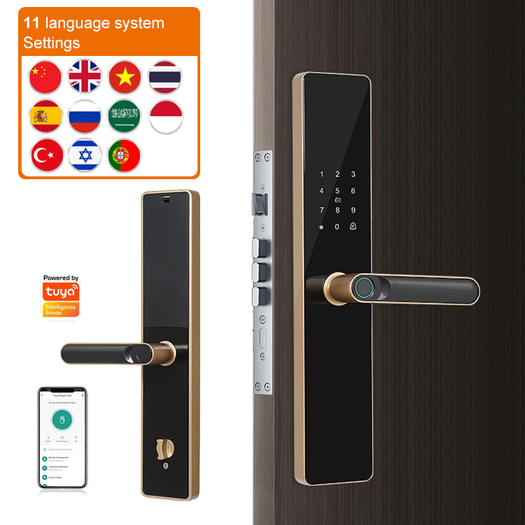 Cheap Fingerprint Biometric Smart Lock TTLock Tuya WIFI LOCK Ic Card Key Smart Door Lock