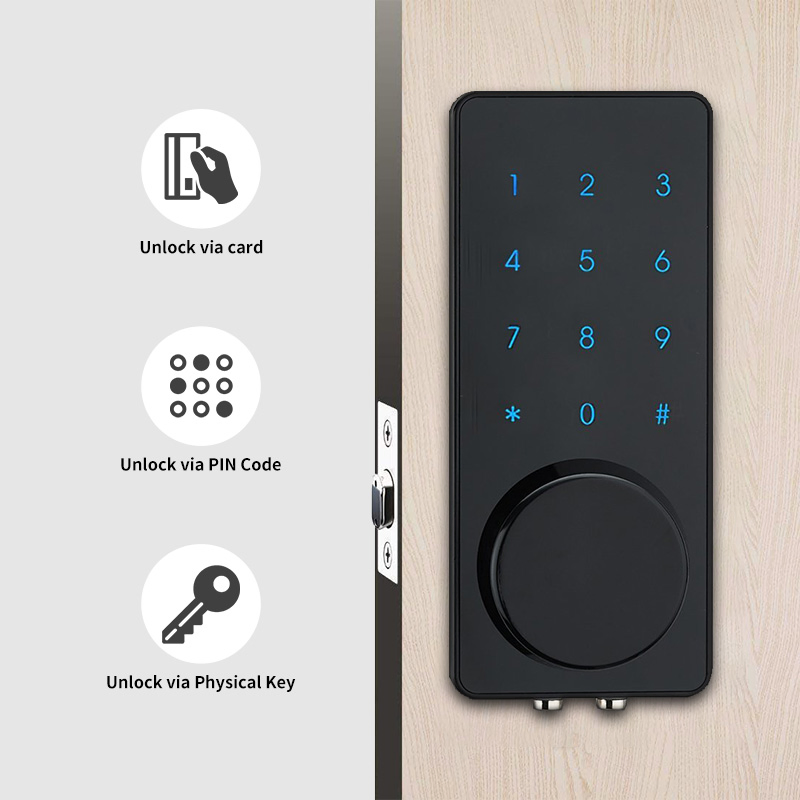 Tuya Tt APP Entrance Door Smart Lock Safety Protection Aluminium Alloy Waterproof Smart Rim Door Lock