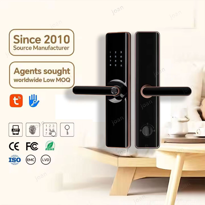 Mortise 6068 Electronic Remote Control Tuya WiFi Digital Low Cost Best Quality APP Remote Unlock Fingerprint Smart WiFi Door Lock for Main Door