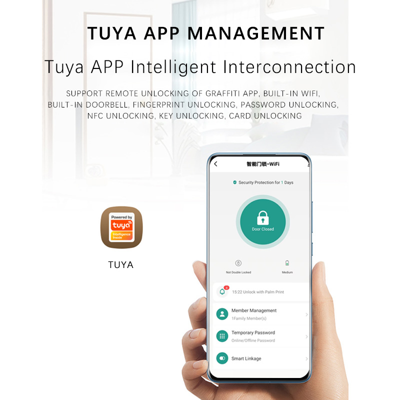 Black TTLock Smart Cylinder Lock with Wi-Fi &amp; Tuya App Cloud 3D Face Recognition Fingerprint Waterproof Front Door Home Security