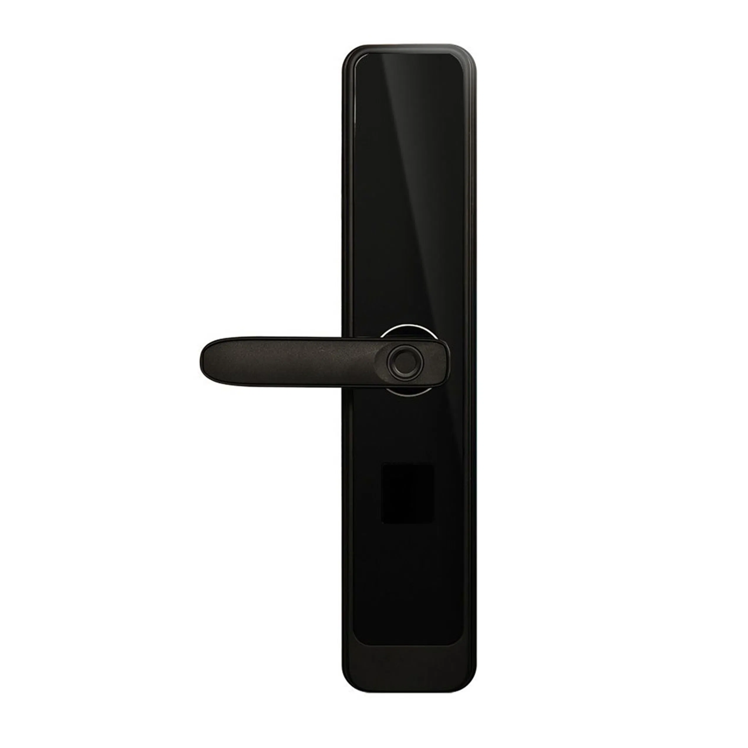 Stainless Steel Security Digital Electronic Keyless Lock Smart Door Mortise Hook Lock