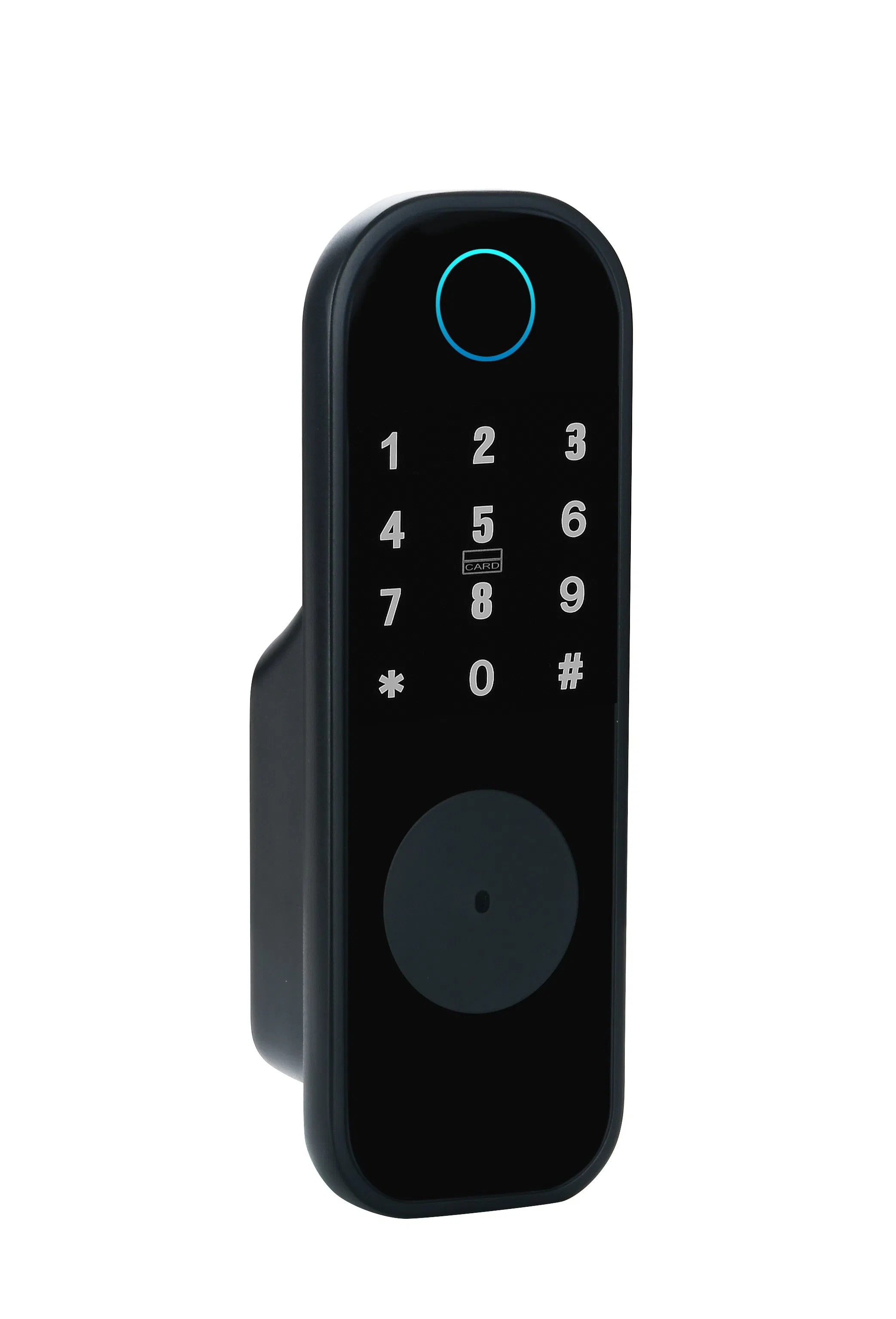 Access Control System Fence Door Dual Fingerprint Waterproof Outdoor Rim Smart Lock