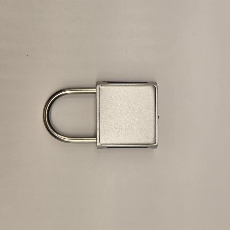 Custom Practical Smart Fingerprint Padlock Portable Self-Service Storage Security Anti-Theft Fingerprint Lock
