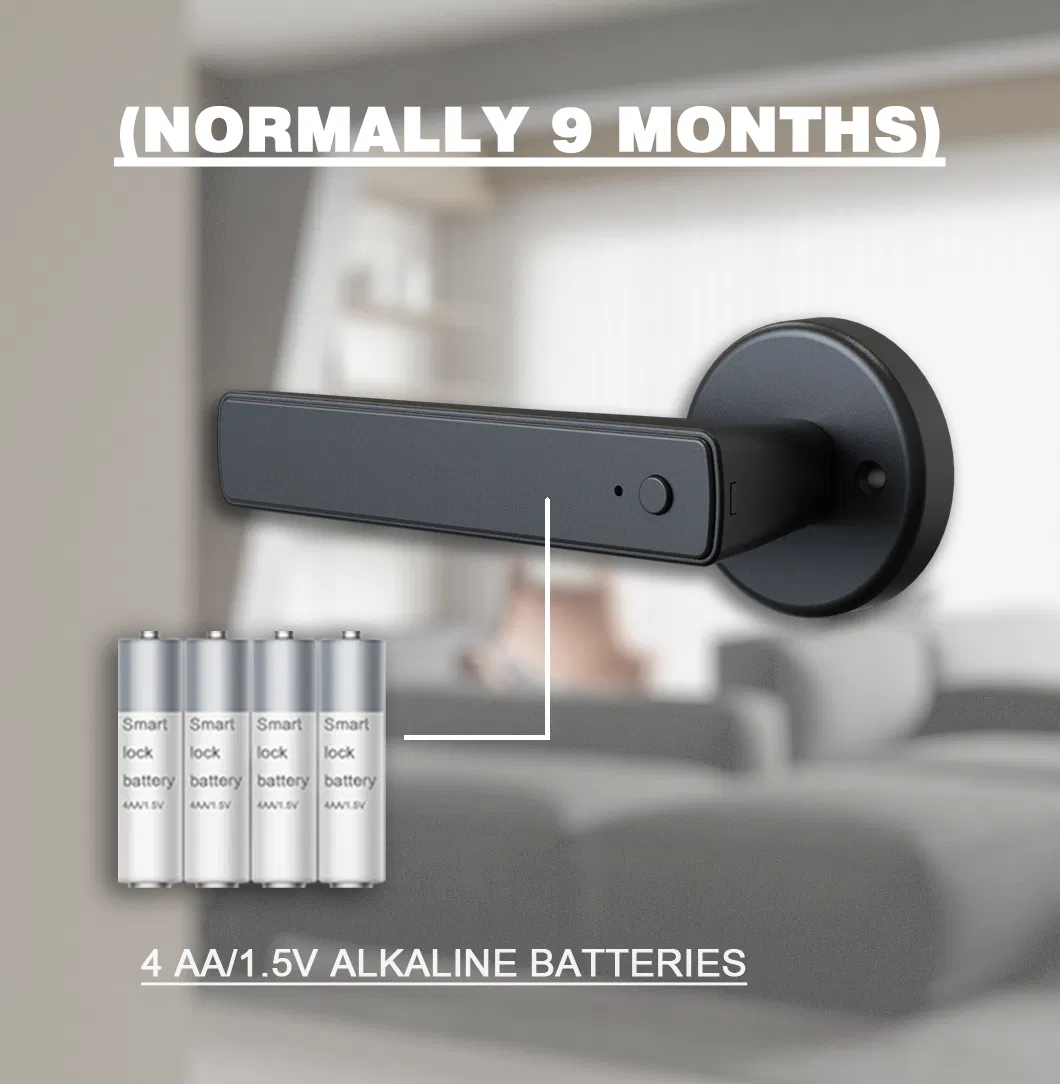 Smart Door Lock 3