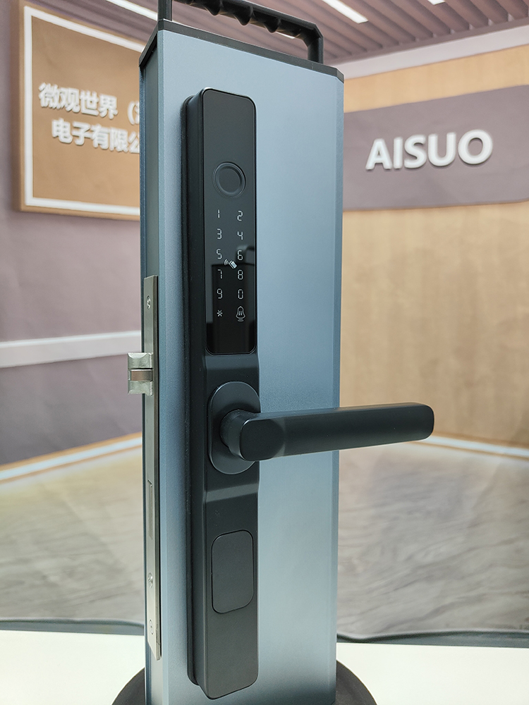 Smart lock real view 1