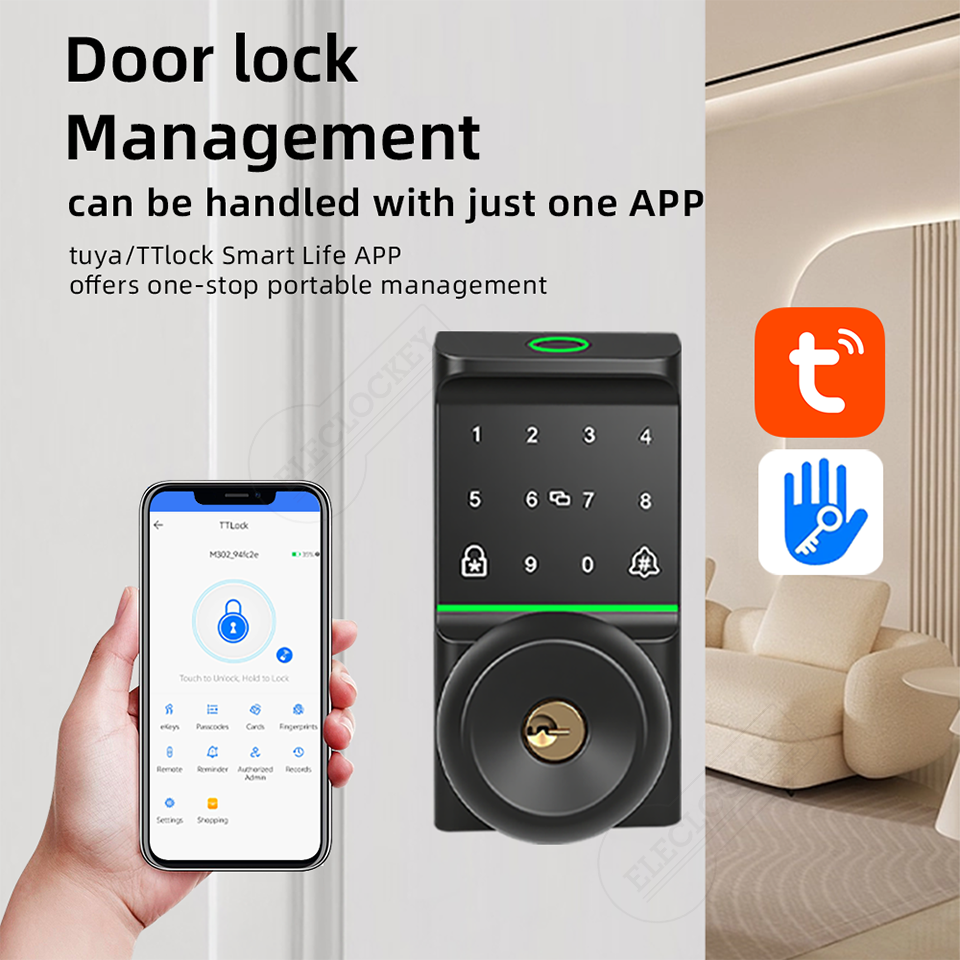 Smart Knob Lock Details