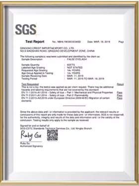 Certificate 2