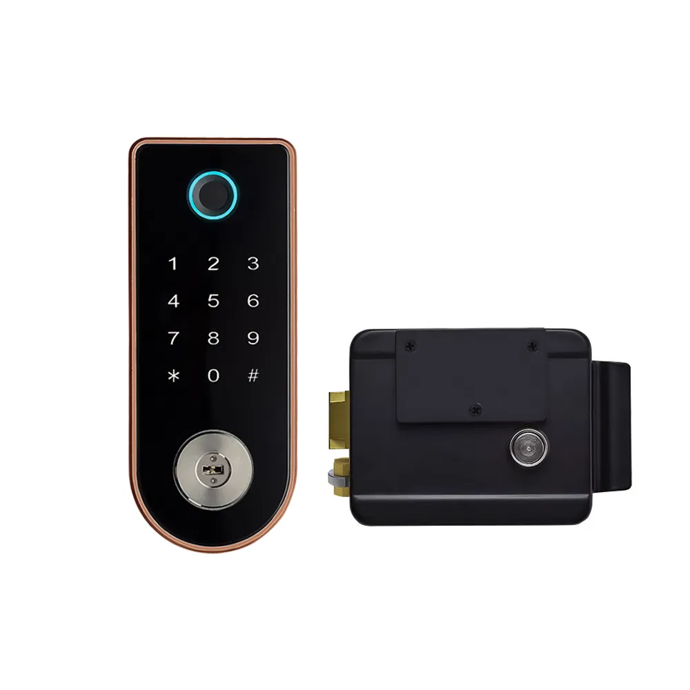 WiFi Tt Lock Card Waterproof Smart Door Locks Rim Lock