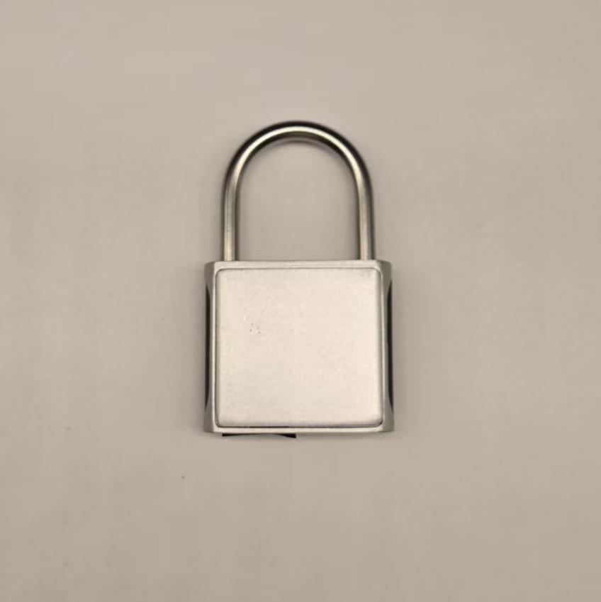 Hot-Selling Electronic Fingerprint Padlock Waterproof Smart Self-Service Storage Mini Door Lock with Biometric Fingerprint