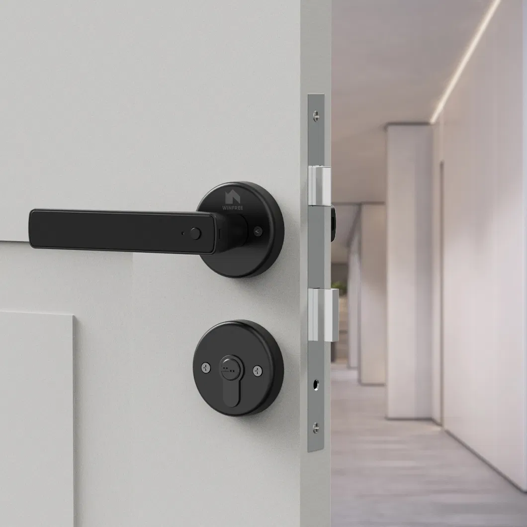 Wholesale Black Digital Biometric Mortise Lock Tuya Smart Door Lock with Fingerprint Handle