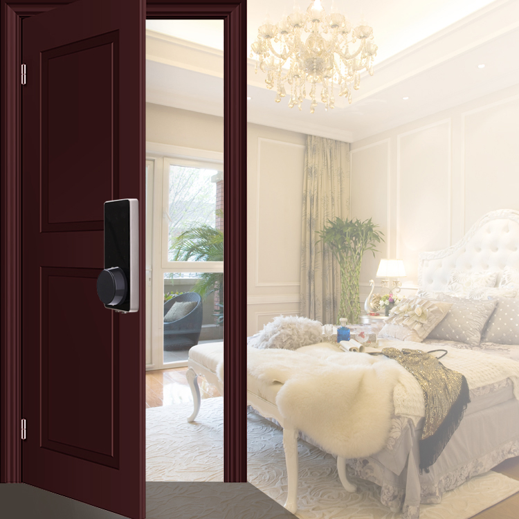 Tuya Tt APP Entrance Door Smart Lock Safety Protection Aluminium Alloy Waterproof Smart Rim Door Lock