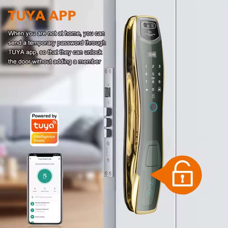 Best-Selling Smart Home WiFi Lock Tuya Control Fingerprint Face Recognition Camera Keyless Entry for Wooden Doors
