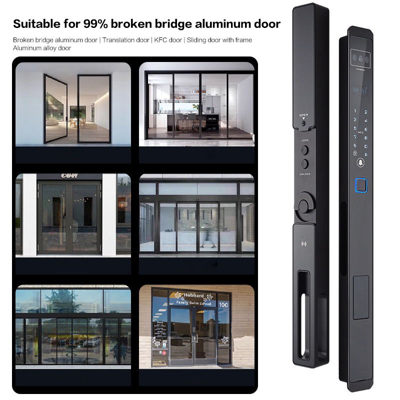 Hot Sale Thermal Break Doors With 3D Biometric Access Auto Locking Mechanism Waterproof Electronic Lock