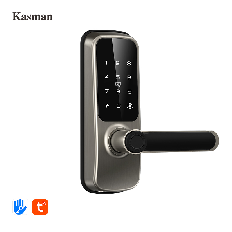 Kasman Source Price American Style Smart Door Lock Facial Recognition Aluminum Fingerprint Tuya Ttlock Gate Lock with Camera