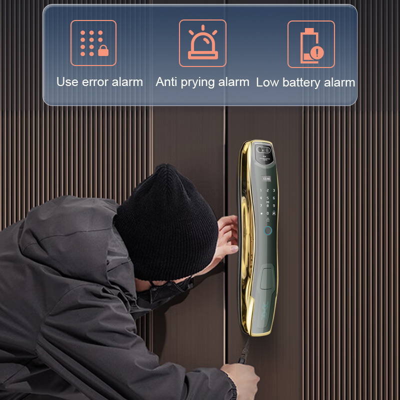 Best-Selling Smart Home WiFi Lock Tuya Control Fingerprint Face Recognition Camera Keyless Entry for Wooden Doors