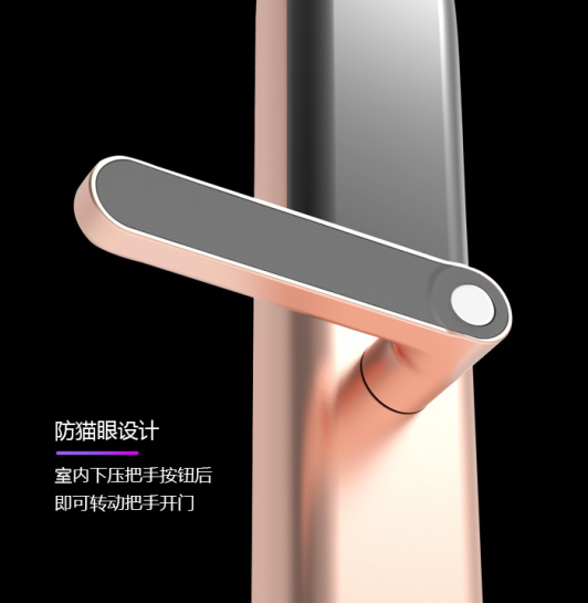 Biometrics Douwin Keyless Security Digital Fingerprint Smart Door Lock for Home or Office