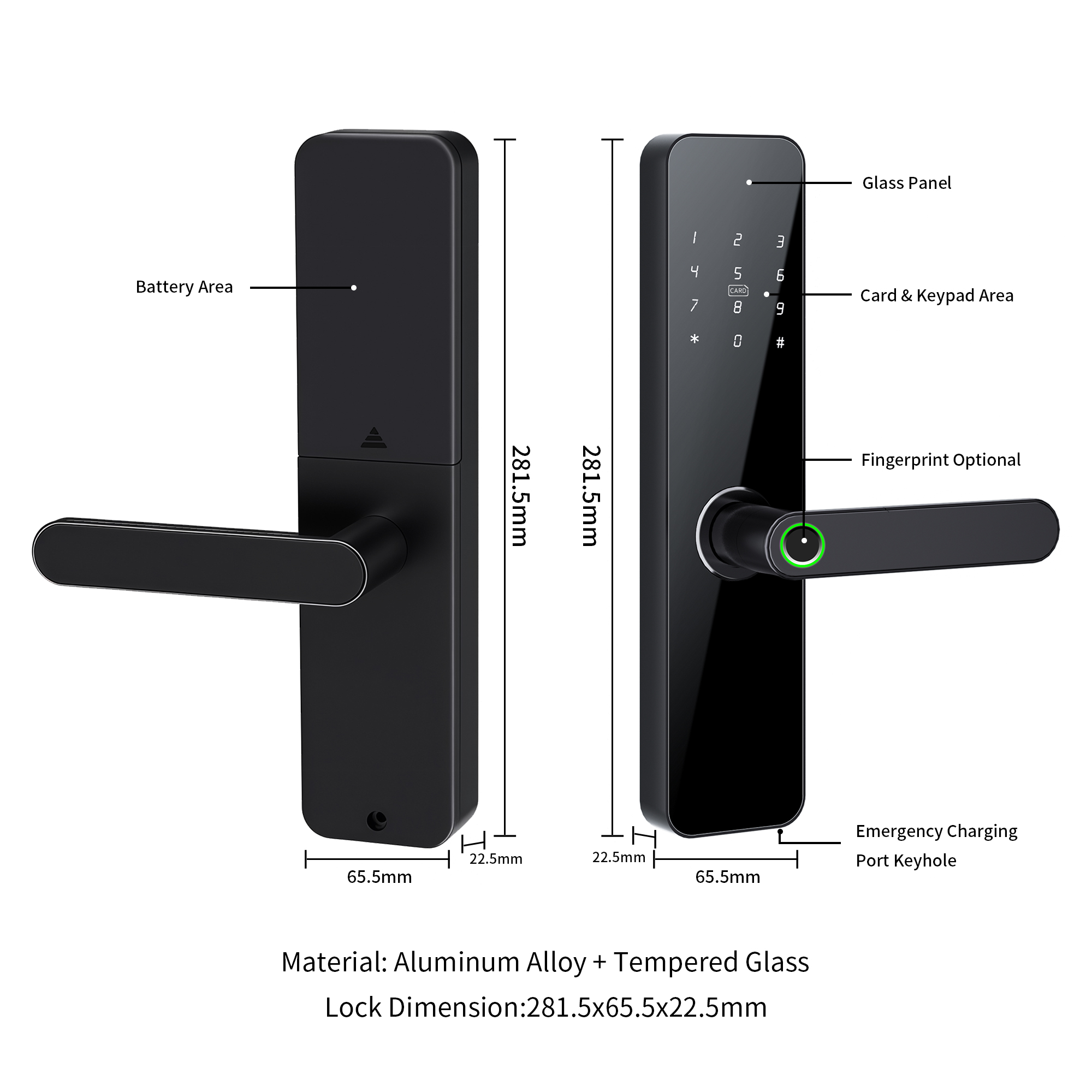Bluelock Fingerprint Smart Lock Cloud Password Card TTLock App Control Key Entry for Wood Doors Home Security
