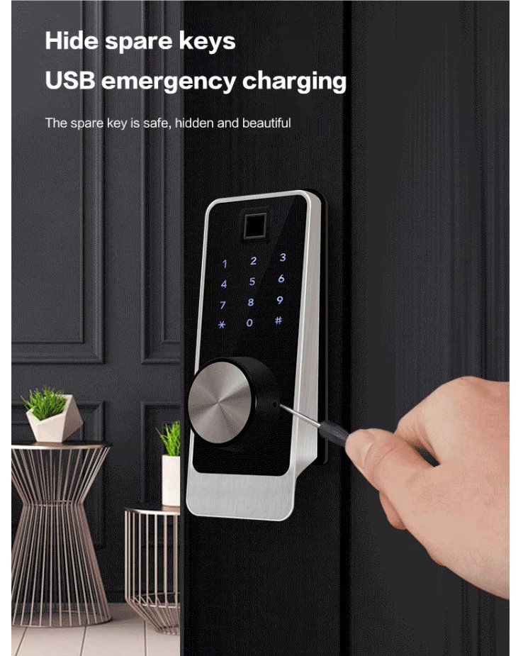 Outdoor Waterproof Rim Lock WiFi Tuya APP Gate Biometric Fingerprint Electric Door Lock Smart Rim Lock